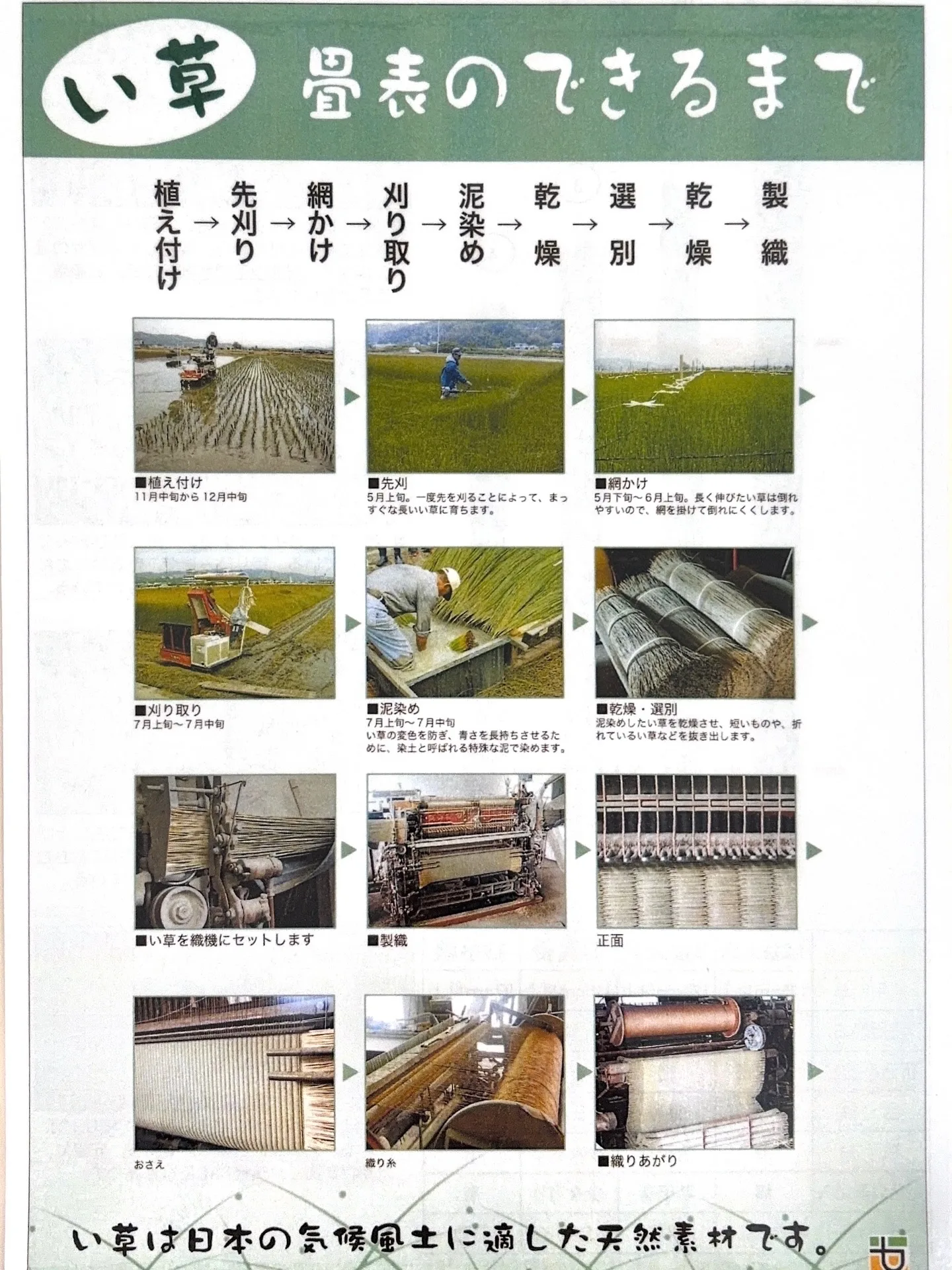 有限会社マルイ産業